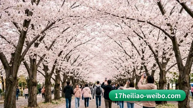 专业防雷排片服务, 专治各种无脑控评